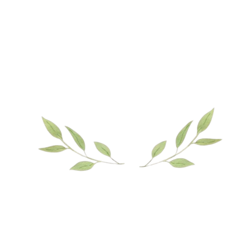 Ilustração_de_flores_em_aquarela_para_crianças___Vetor_Premium-removebg-preview